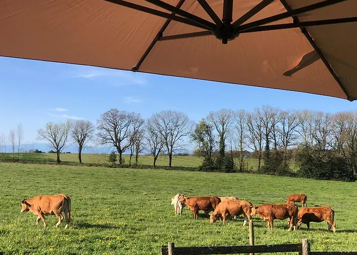 Les De Bes Le Montagnol Lacombe